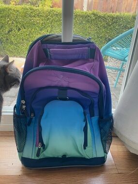 Pottery Barn Rolling Backpack